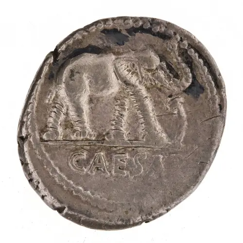 カエサルのデナリウス裏面。象が蛇を踏みつける図像とCAESARの銘
