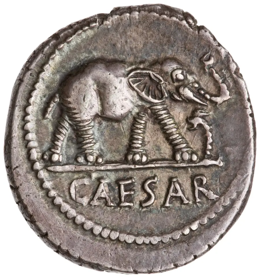 Julius Caesar Denarius (Elephant type / civil war propaganda coinage) の表面（オブバース）
