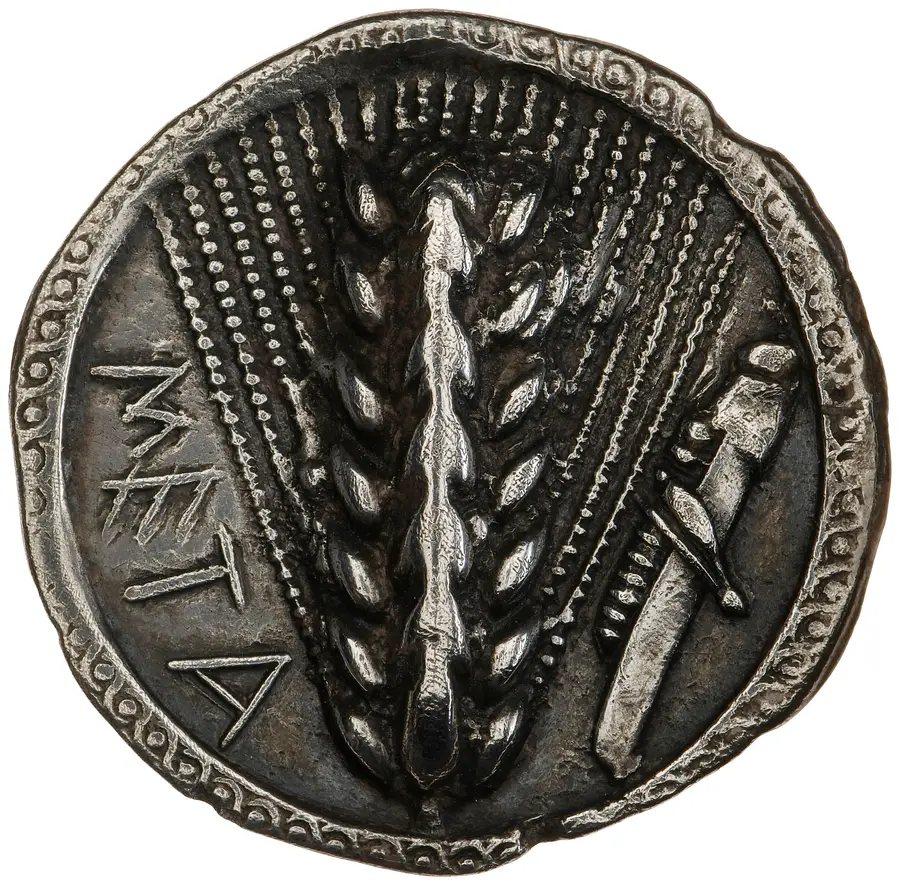 Metapontum Silver Stater (Barley Ear type) の表面（オブバース）