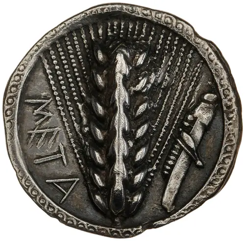 Metapontum Silver Stater (Barley Ear type) の表面（American Numismatic Society (1941.153.68)）