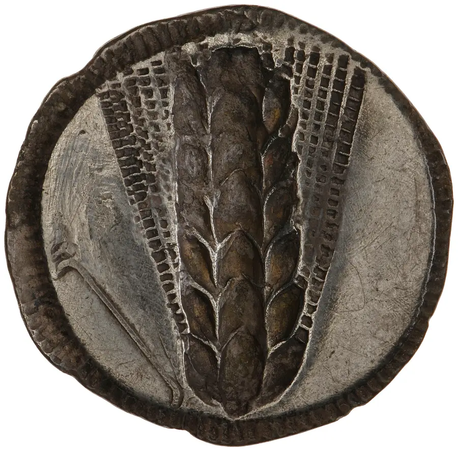Metapontum Silver Stater (Barley Ear type) の裏面（リバース）