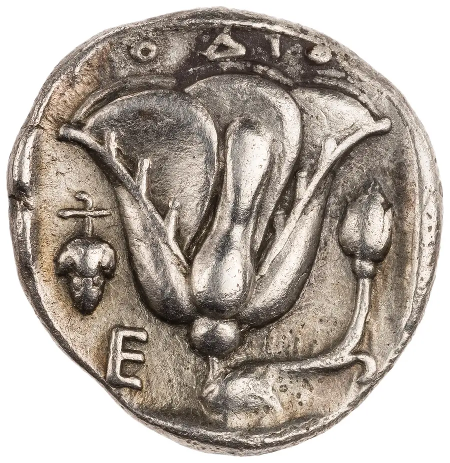 Rhodian Didrachm (Helios / Rose) の裏面（リバース）