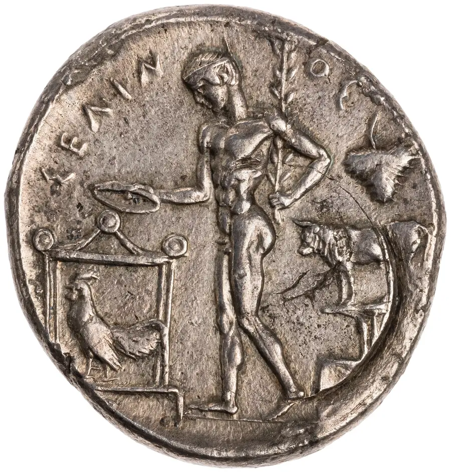 Selinus Tetradrachm (Sicily, Selinon leaf type) の裏面（リバース）