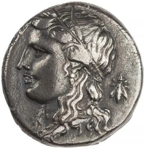 Syracuse Tetradrachm (Quadriga type) の表面（American Numismatic Society (1967.152.541)）
